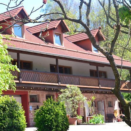 Ferienwohnungen Hof Heiderich Oberzent Bagian luar foto