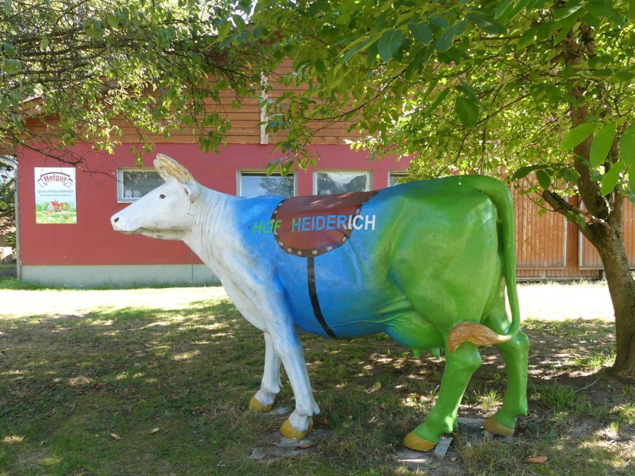 Ferienwohnungen Hof Heiderich Oberzent Bagian luar foto