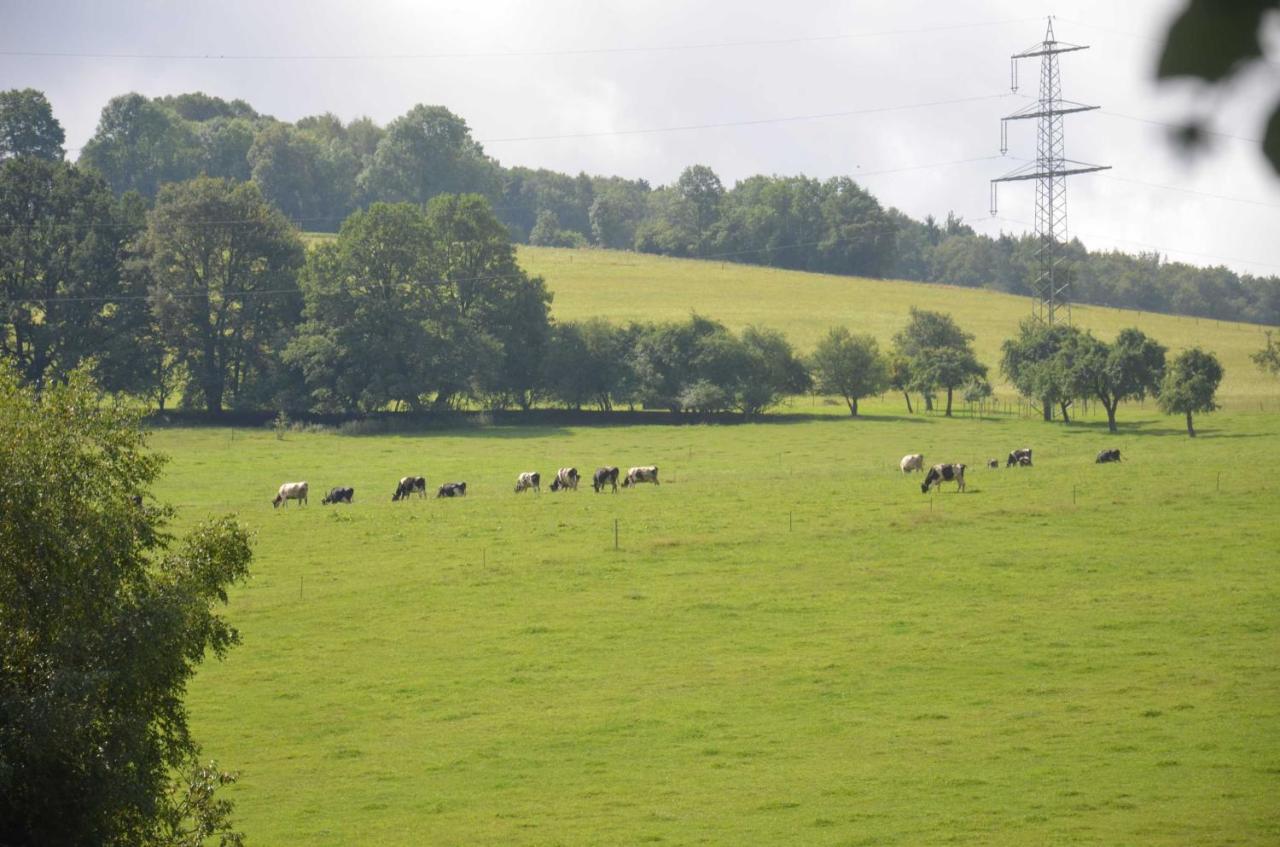 Ferienwohnungen Hof Heiderich Oberzent Bagian luar foto